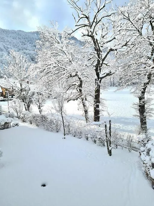 Appartement Le D12 Samoens Apartment