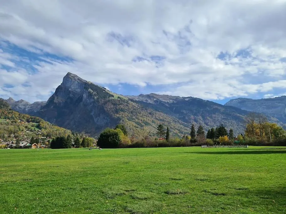 Apartment Appartement Le D12 Samoens